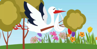 Gratis Geboorteboom voor de 1e 125 geboortekaartjes die ingezonden worden bij Staatsbosbeheer