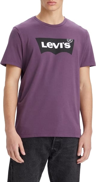 Camiseta Levi's Graphic Crewneck por 14,95€