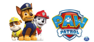 25% korting op ALLE PAW Patrol van Spin Master
