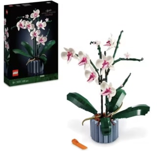 Orquídeas Kit de Construcción de Planta Decorativa 608 Piezas por solo 28,24€