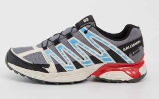 Zapatillas de Hombre Salomon XT RECKON GTX por 72€