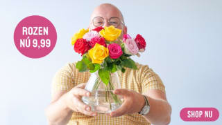 Brievenbus rozen voor €9,99 bij Bloompost