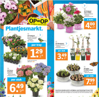 AH Plantjesmarkt diverse varianten vanaf €1,29 per tray