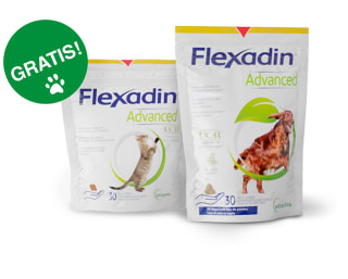 Gratis zakje Flexadin katten-/hondenbrokjes