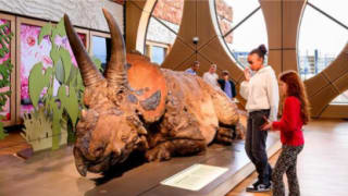 Tickets voor Naturalis Leiden voor €10,80 via de AH voordeelshop