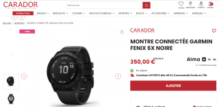 Montre Connectée Garmin Fenix 6X - Noir à 350€