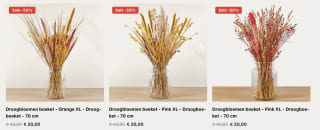 Droogbloemen - Seizoen: Herfst, Halloween, Kerst - 50% Korting