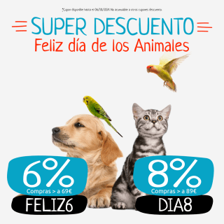 Super desuentos en todo Animal hasta 8%