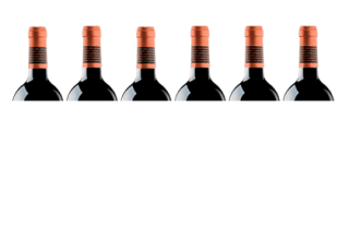 Pack de 6 Botellas de Pradorey Valdelayegua Crianza 2019 por 46€