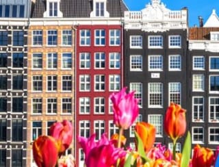Holanda y Flandes: crucero de 7 noches época tulipanes por 778€