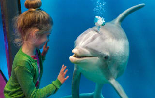 Entreeticket Boudewijn Seapark voor €19,50 via Tripper