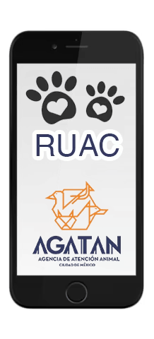CURP para Mascotas Gratis