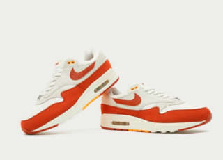 Air max 1 Light Orewood Brown maat 41 voor €85 bij Sizeofficial