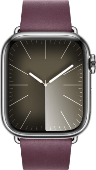 Apple Mulberry Modern Buckle 41mm Large voor €31,49 bij Bol