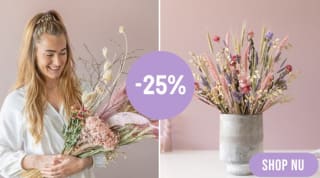 25% korting op droogboeketten bij Bloompost