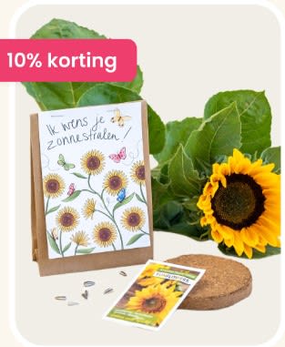 10% korting op alle bloemen & planten bij Hallmark