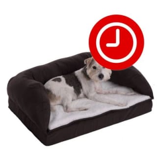 Orthopedische hondenbank "Memory foam" voor €18,39 bij Zooplus