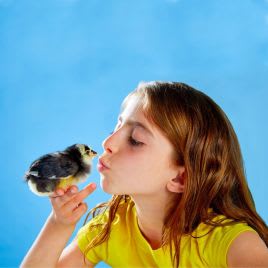 10% korting op alles bij Aveve