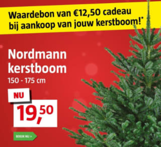Kerstboom + Bauhaus tegoedkaart twv €12,50 bij Bauhaus voor €19,50