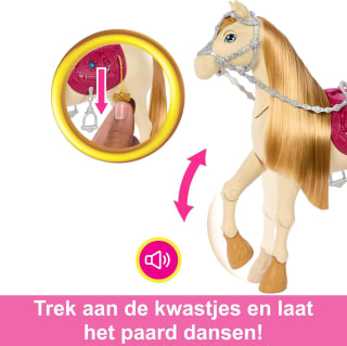 Barbie Mysteries Dans- en showpaard met accessoires voor €13,99 bij Bol