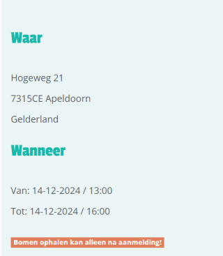 Scoor een gratis Kerstboom in Den Haag, Groningen, of Apeldoorn