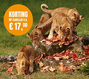 Tickets Safari Park Beekse Bergen vanaf €17