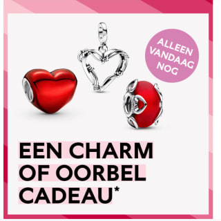 Gratis charm of oorbel cadeau bij besteding vanaf €99 bij Pandora