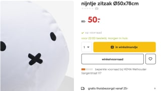 Nijntje zitzak Ø50x78cm voor €50 bij de Hema