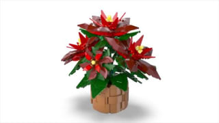 LEGO Icons Kerstster Poinsettia voor €42,99 bij Bol
