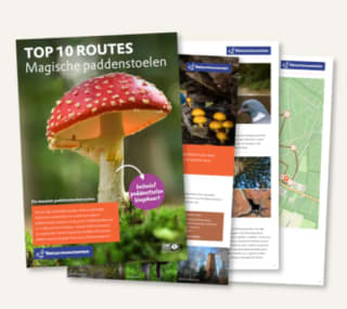 Gratis boekje Top 10 Magische Paddestoelen via Natuurmonumenten