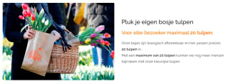 Gratis tulpen plukken in Amsterdam