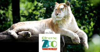 Ticket Olmense Zoo inclusief drankje voor €14,50