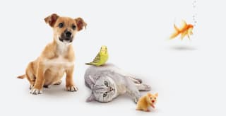 10% korting op je eerste bestelling