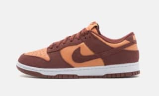 Diverse Nike Dunk sneakers vanaf €49,95 bij Zalando