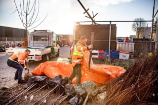 Gratis boompje ophalen voor inwoners gemeente Apeldoorn