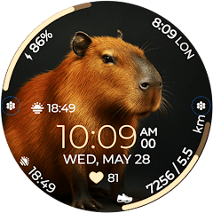 Diverse Watchfaces voor android gratis