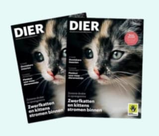 Gratis magazine DIER van de Dierenbescherming