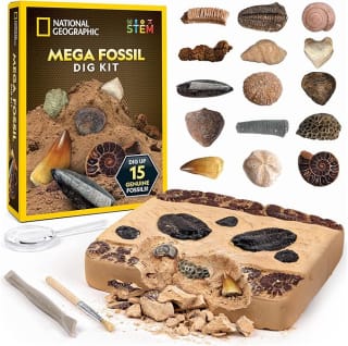 National Geographic Mega Fossil Dig Kit - £19.99