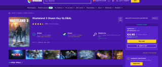 Juego Wasteland 3 Steam por 4,95€