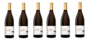 6 Botellas de Miriade by Pago de Vallegarcía 2022 por 41€