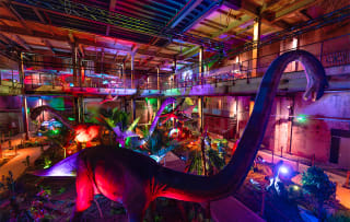 world of dino's nu voor 14,50 ipv 21,50