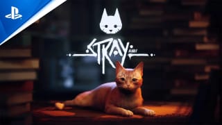 Stray (PS4 / PS5) voor €17,99 bij Playstation Store