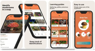Mushroom Identifier Pro tijdelijk gratis in de App Store