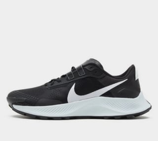 Nike Pegasus Trail 3 a solo 80€
