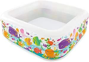 Intex Clearview Aquarium Pool for £9.99