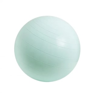 Pelota Pilates 65 cm peso max. 130 kg Toplife + Bomba por 3,99€