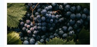 Zamora Refugio rural 2 noches desde 140 para 2 personas.