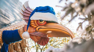 Met 50% korting naar de ANWB Ledendag Efteling