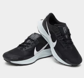 Nike Pegasus Trail 3 a solo 80€