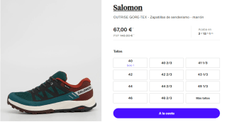 Zapatillas de Trekking para Hombre Salomon OUTRISE GTX por 67€